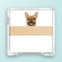 Brown French Bulldog Portrait