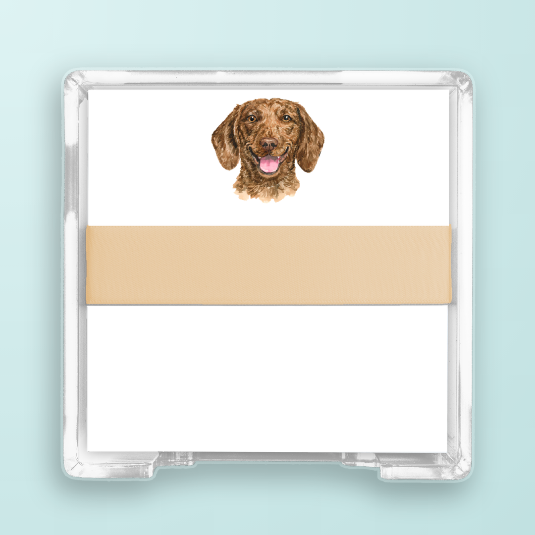 Brown Dachshund Portrait Desk Set