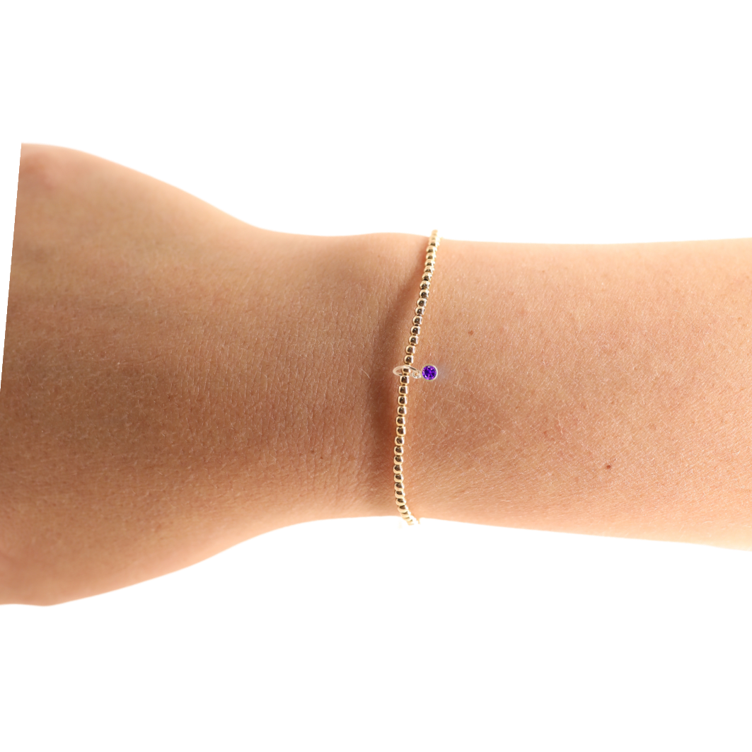 February Birthstone Charm Bracelet