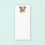 Australian Shepherd Portrait