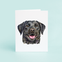 Black Lab Portrait