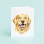 Golden Retriever Portrait