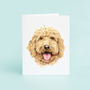 Golden Doodle Portrait