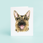 German Shepard Portrait