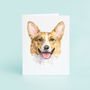 Corgi Portrait