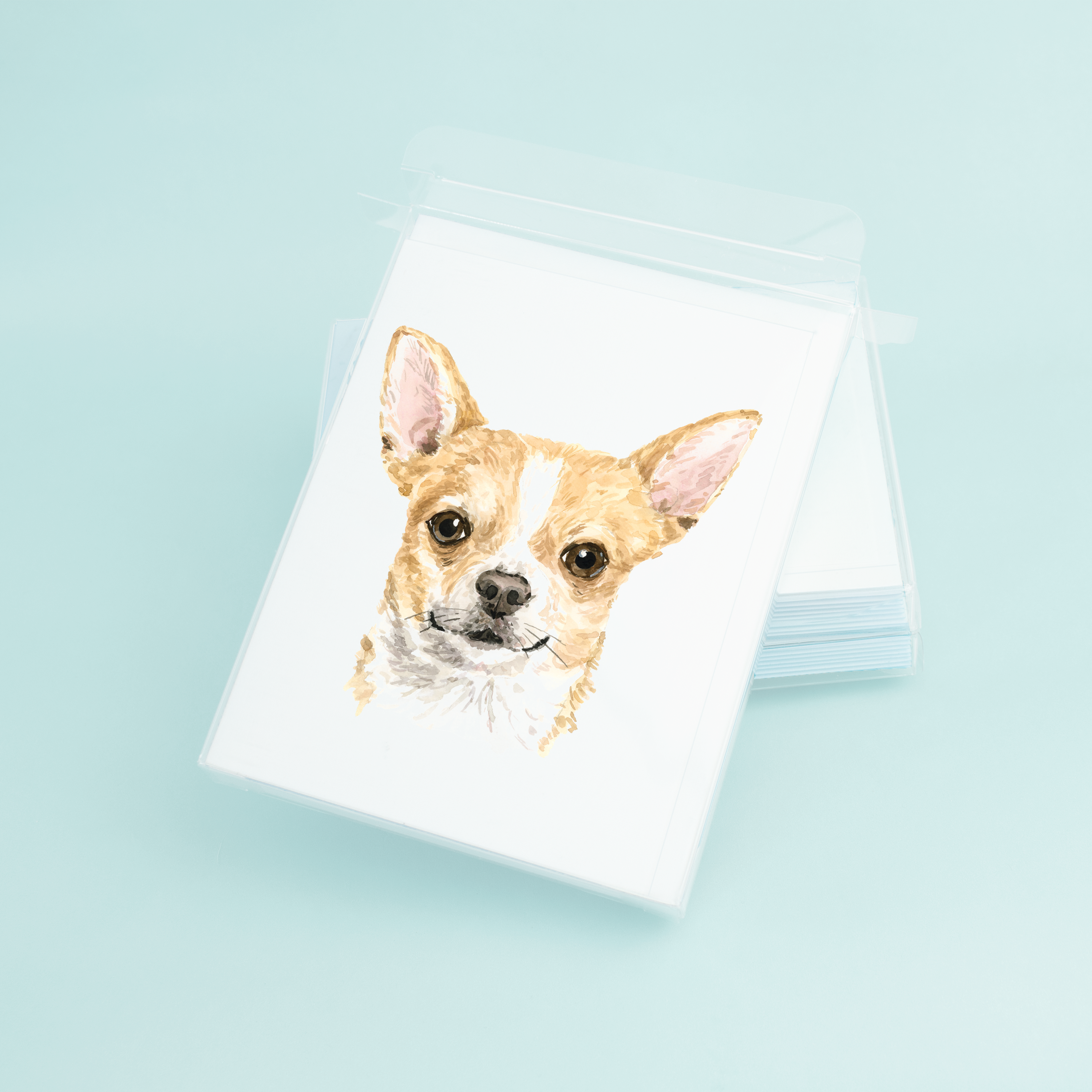 Chihuahua Portrait