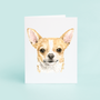 Chihuahua Portrait