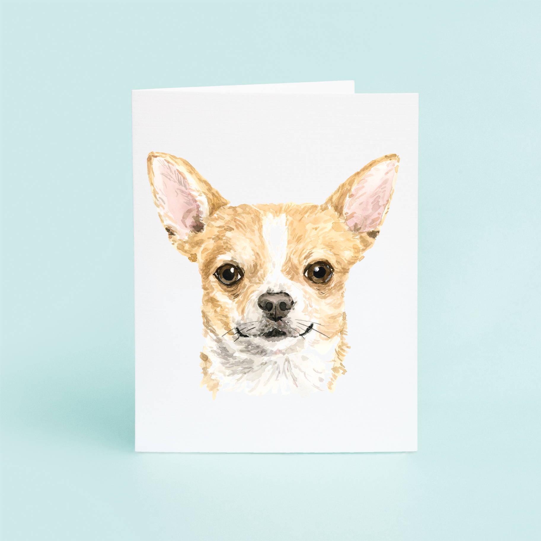 Chihuahua Portrait